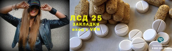 PSILOCYBIN Медногорск
