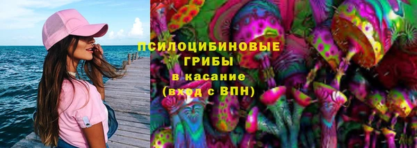 бошки Мегион