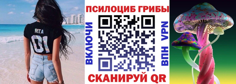 купить наркоту  Северск  KRAKEN вход  Галлюциногенные грибы Psilocybe 