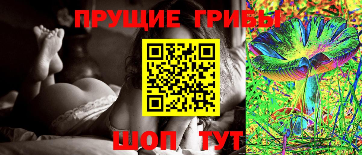 Галлюциногенные грибы прущие грибы  Вход с VPN  Северск 