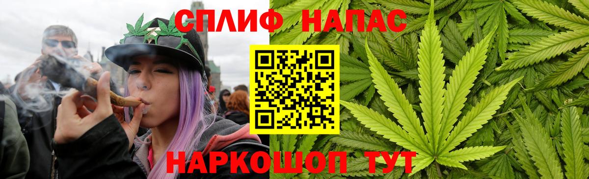 Канабис план  Вход с VPN  Канабис марихуана  Северск  Каннабис сатива  Бошки марихуана ГИДРОПОН 